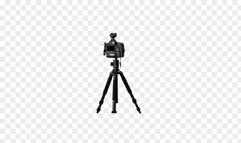 Camera Tripod Movie Photography PNG