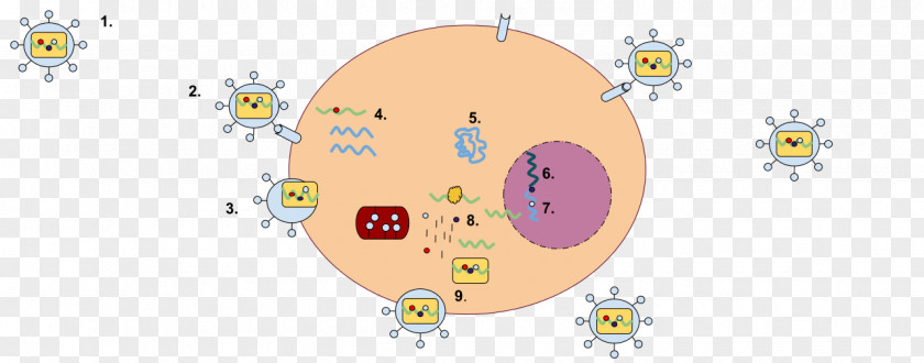 Cartoon Of Ferocious Virus Cells Lentivirus RNA Reverse Transcriptase ARN Monocatenario Retrotranscrito Simian Foamy PNG
