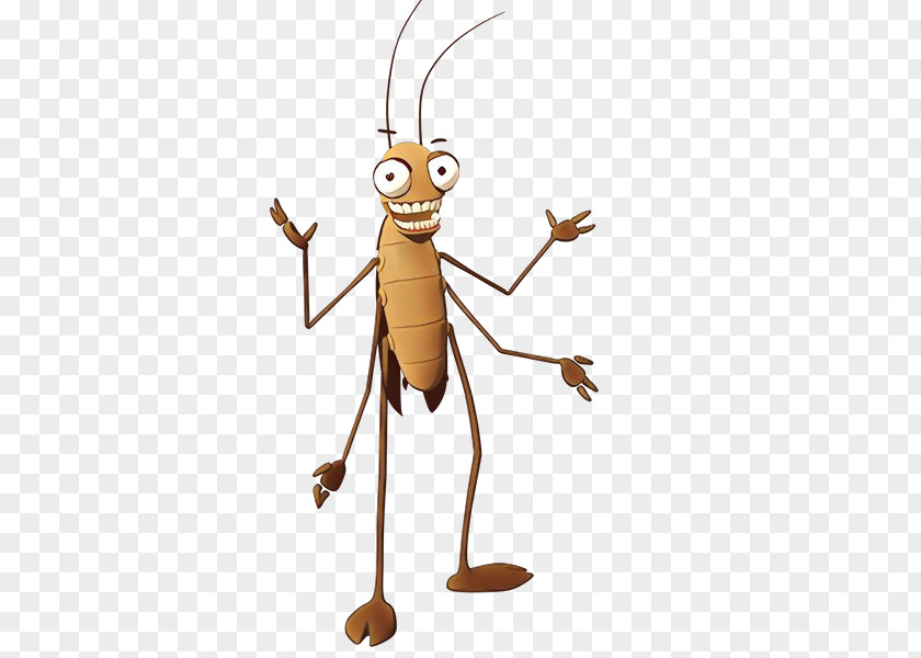 Cricketlike Insect Grasshopper Pest Mantidae Cartoon PNG