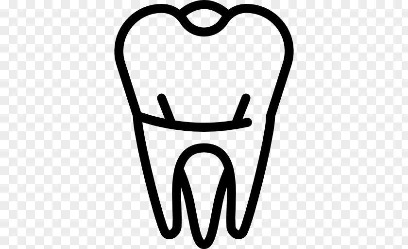 Dentistry Tooth Dentures Molar PNG