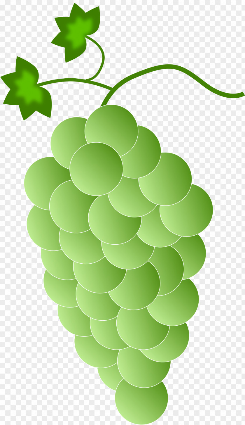 Grape Red Wine Common Vine Clip Art PNG