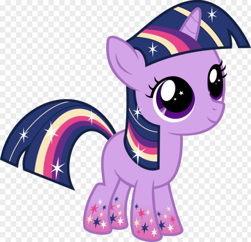 Little Pony Twilight Sparkle Rainbow Dash Pinkie Pie Rarity PNG