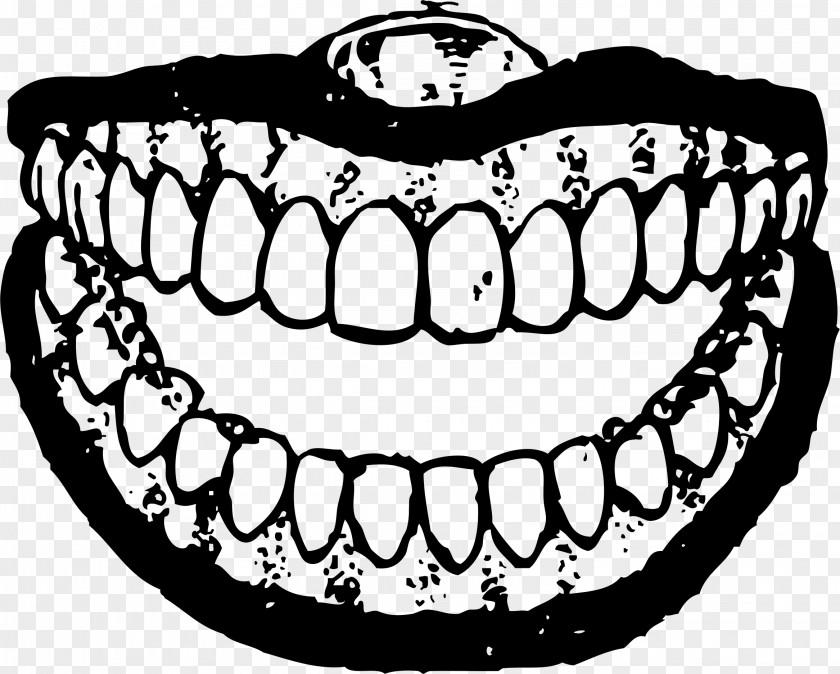 Mouth Smile Smiley Human Tooth Clip Art PNG