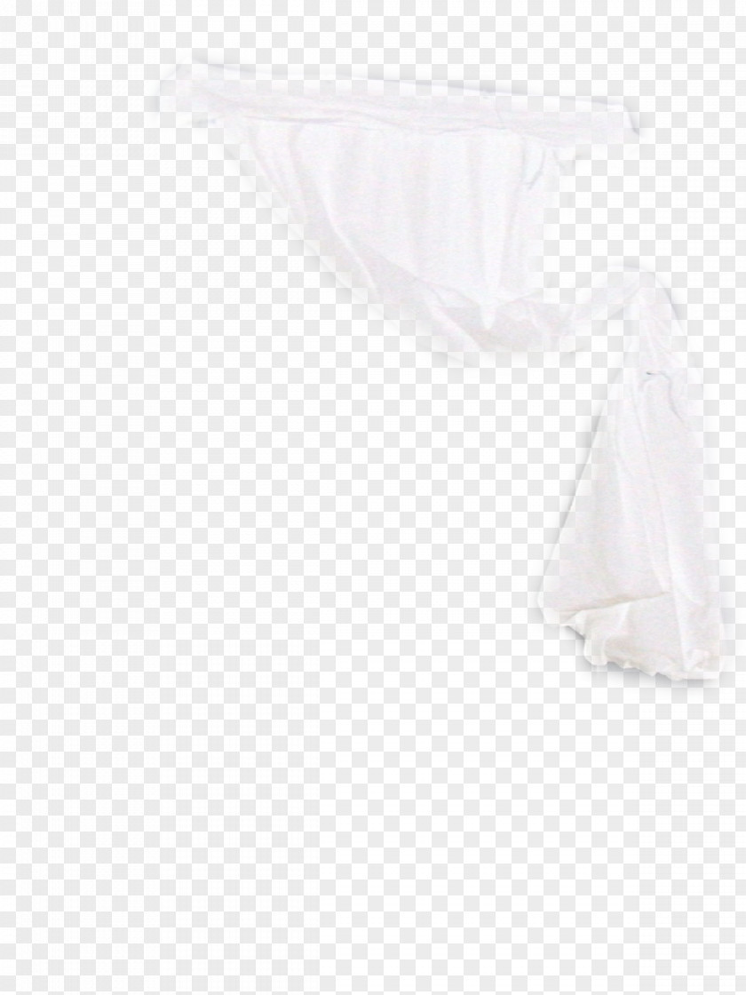 White Swan Neck PNG