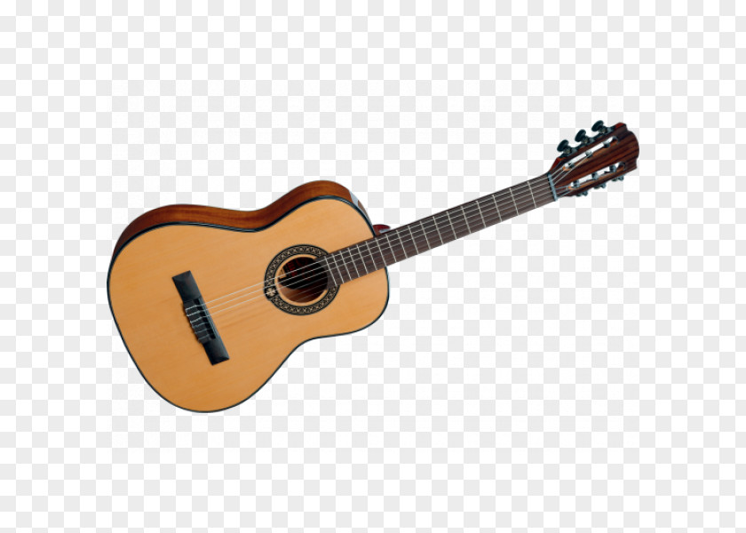 Guitar Classical Acoustic Acoustic-electric Dreadnought PNG