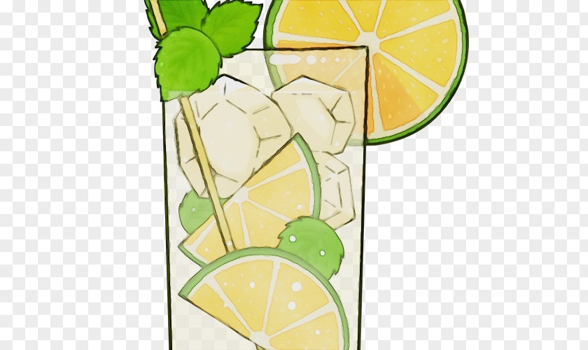 Mojito PNG