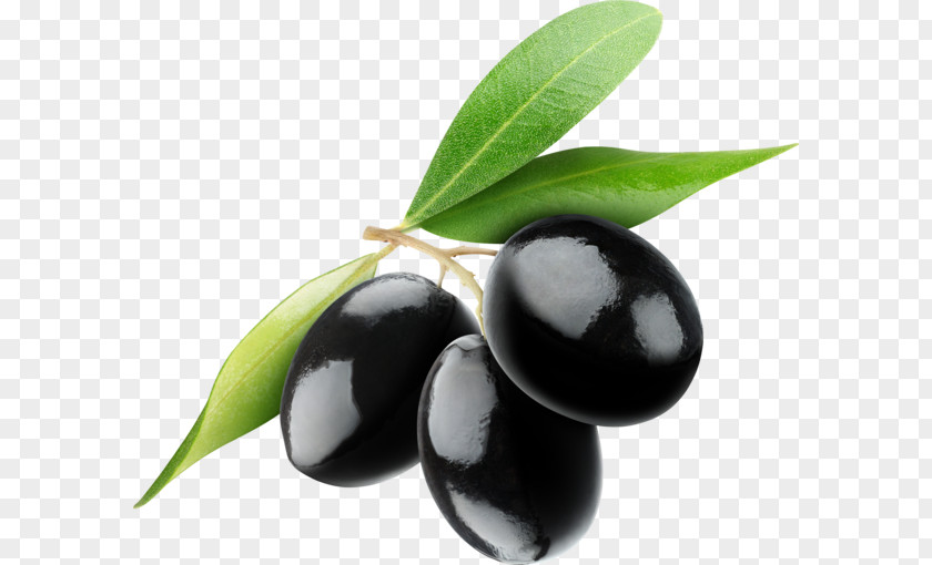Olive Mediterranean Cuisine Oil PNG