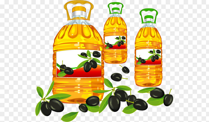 Olive Oil Cooking Vegetable Clip Art PNG