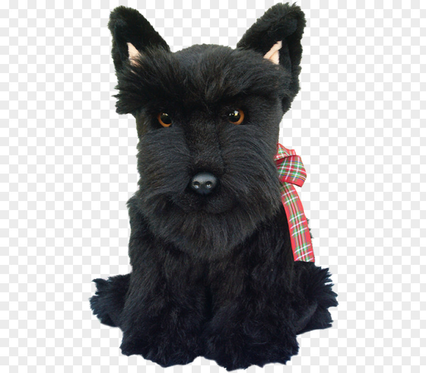 Puppy Miniature Schnauzer Scottish Terrier Cairn Affenpinscher French Bulldog PNG