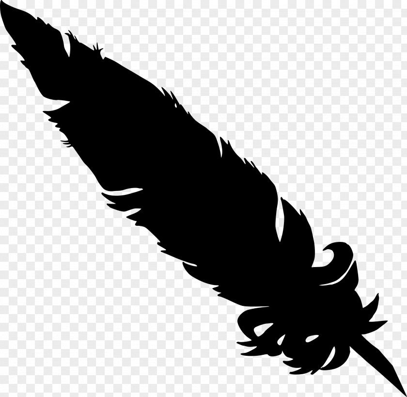 Silhouette Feather Bird Archaeopteryx PNG