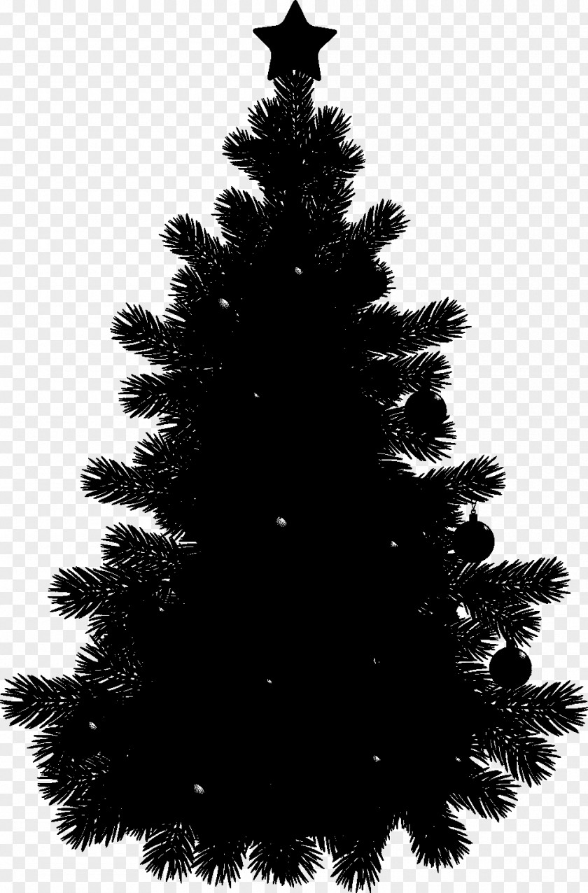 Clip Art +Black Pine Tree Openclipart PNG