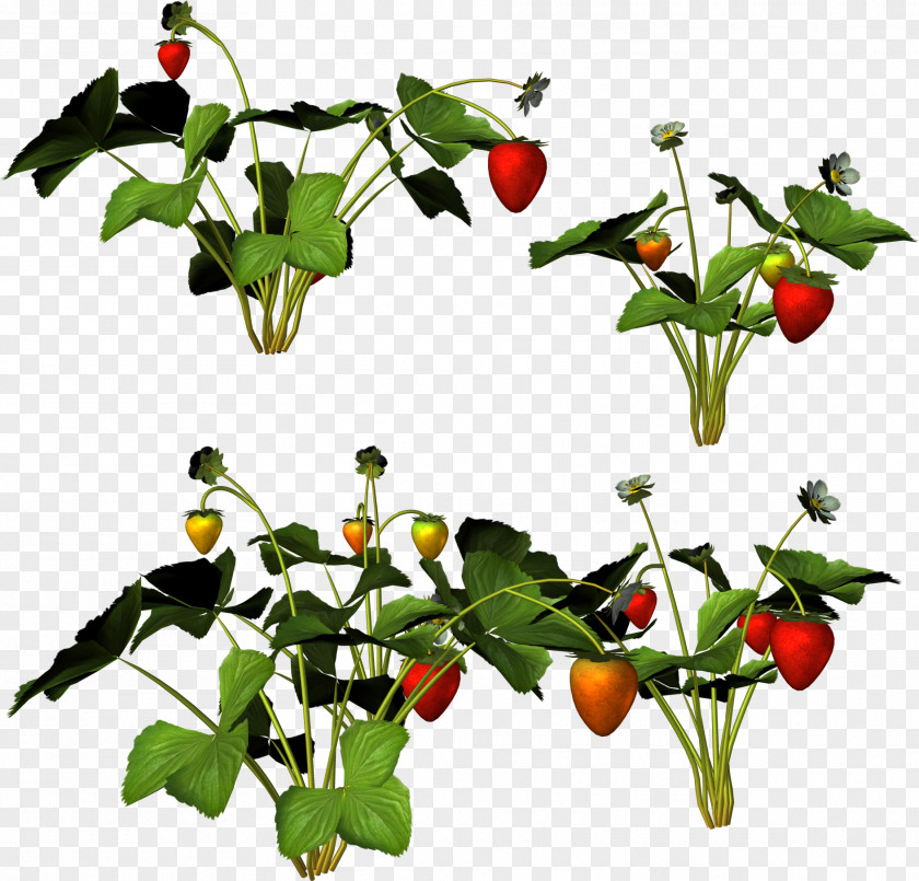 Strawberry Food Musk Clip Art PNG