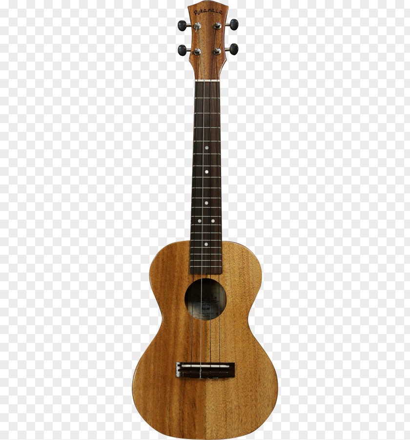 Acoustic Guitar Brands Steel-string Classical PNG