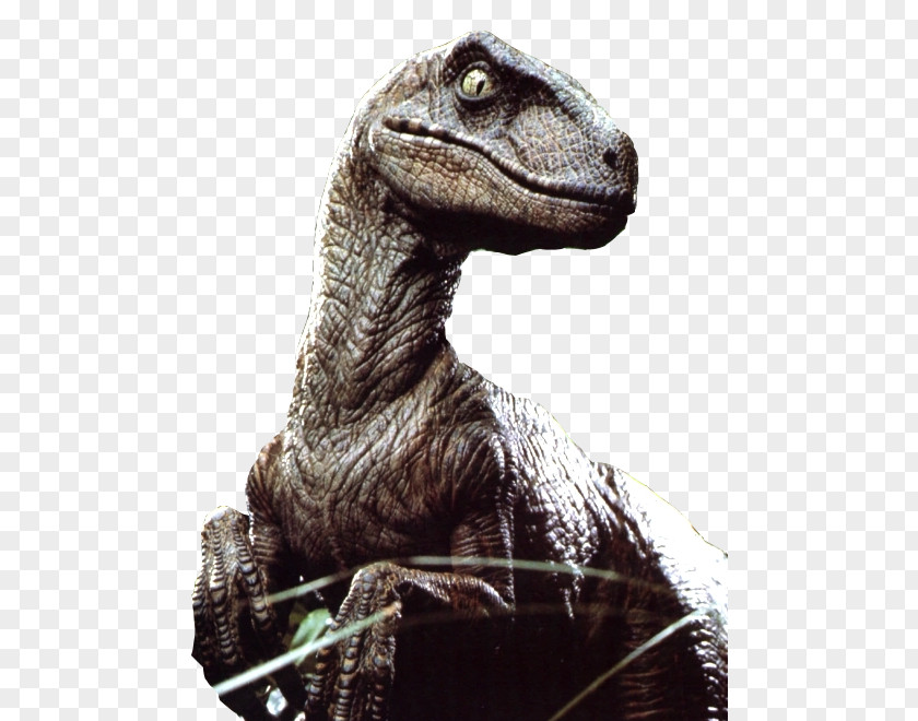 Jurassic Park Velociraptor Park: The Game Utahraptor Dinosaur PNG