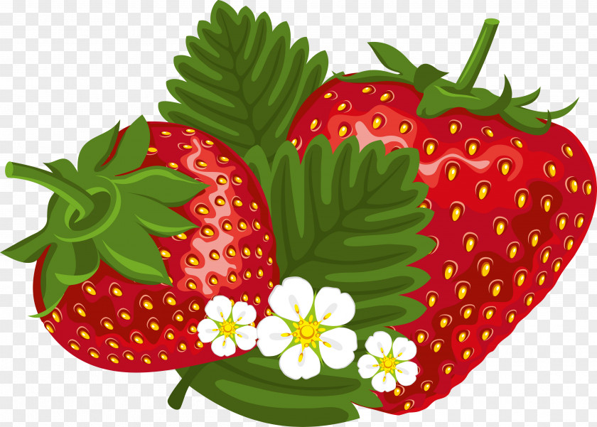 Fresh Strawberries Strawberry Clip Art PNG