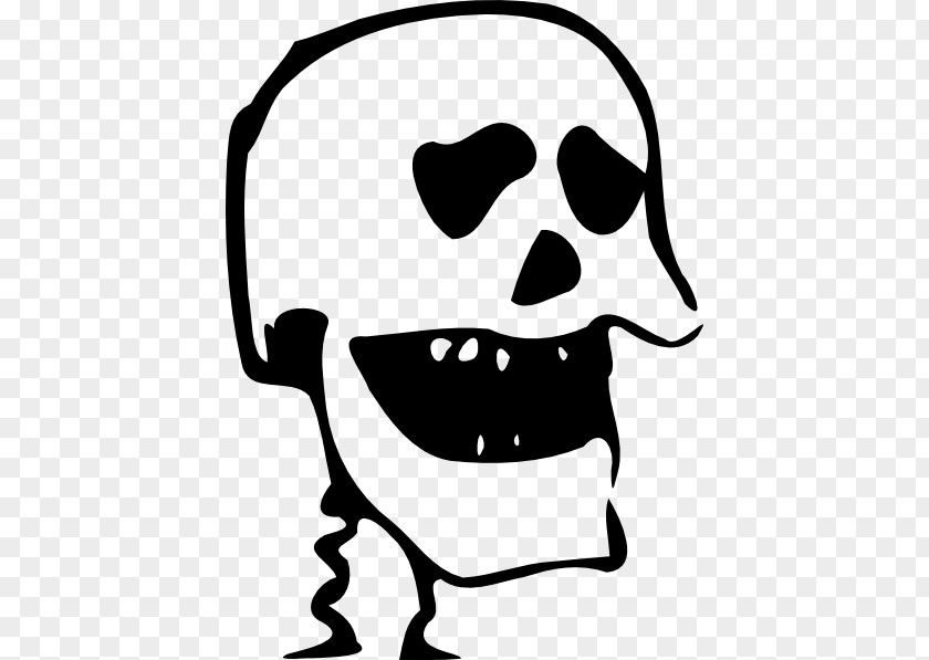 Skull Vector Calavera Human Symbolism Clip Art PNG