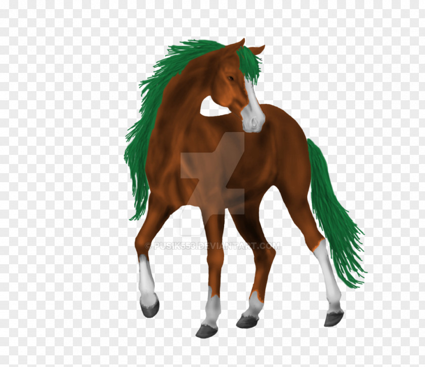 Arabian Horse Mane Mustang Foal Stallion Colt PNG