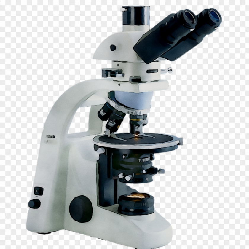 Microscope Photography University Algae PNG
