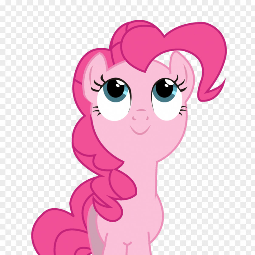 My Little Pony Pinkie Pie Twilight Sparkle Rainbow Dash Rarity PNG