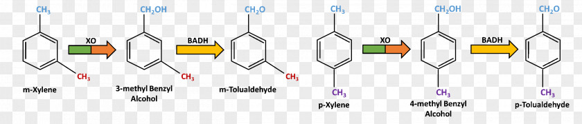 Otolualdehyde Guaiacol Anisole Phenols Pyrolysis Lignin PNG