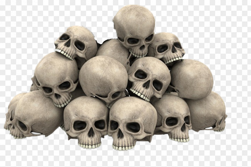 Skull Royalty-free Stock Photography Image Graphics PNG