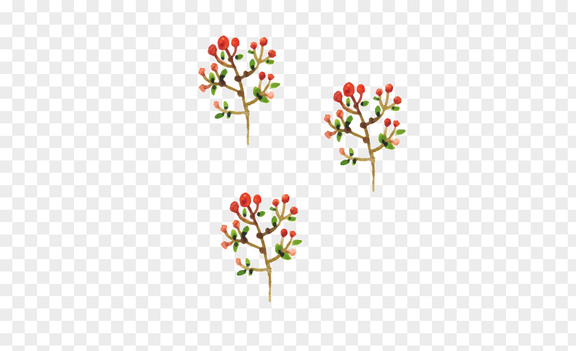 Watercolor Christmas Plant Painting Computer File PNG