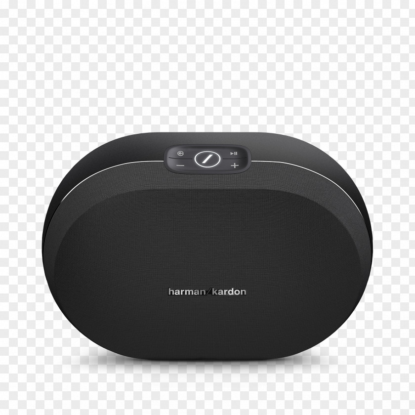 Chromecast Audio Review Monopod Walking Stick Camera Manfrotto Harman Kardon Omni 20 PNG
