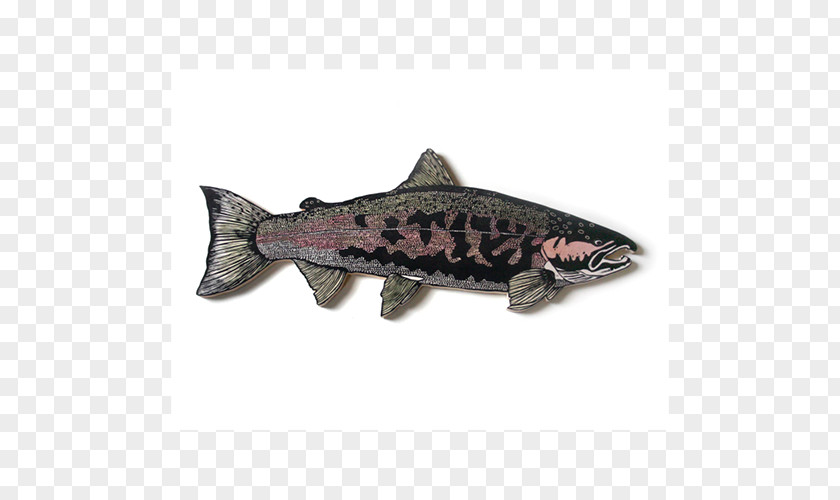Coho Salmon Trout Run Fish PNG