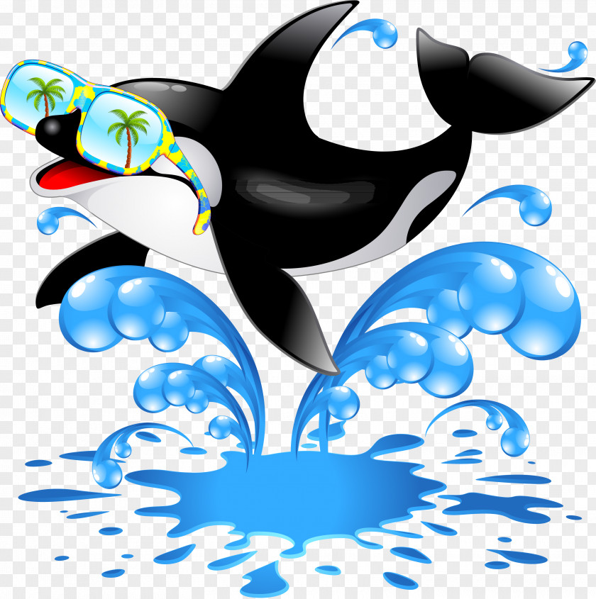 Dolphin Killer Whale Cetacea Clip Art PNG