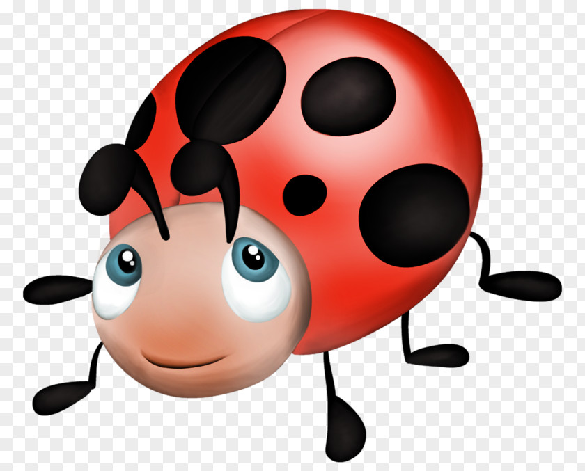 Enfant Coccinella Septempunctata Je Suis Une Coccinelle Drawing Aphid Child PNG