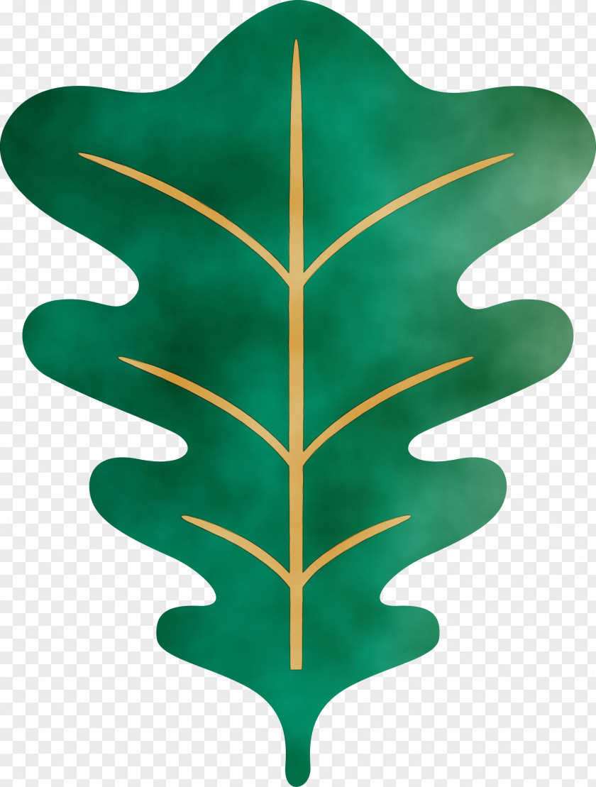 Leaf Tree Green Plants Biology PNG