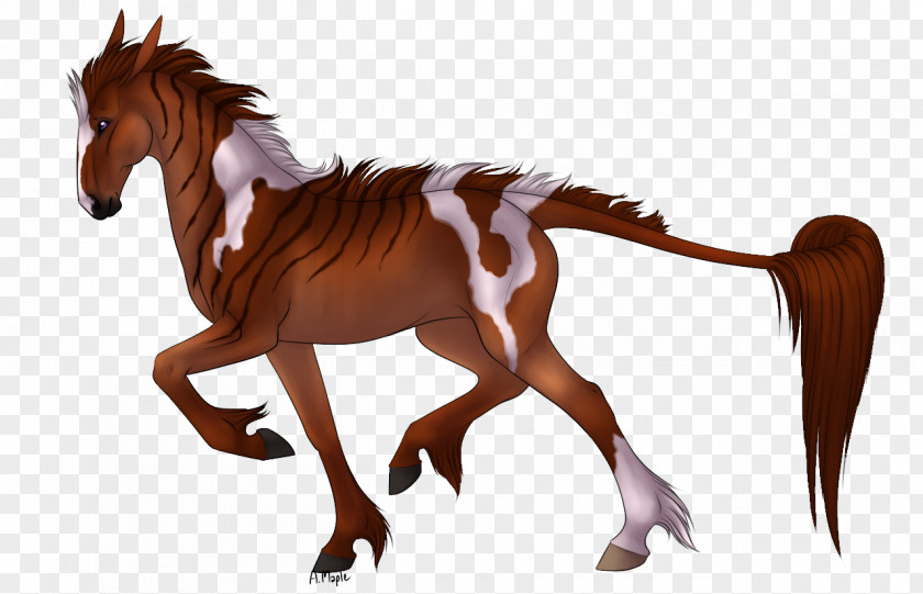 Mustang Mane Foal Stallion Colt PNG