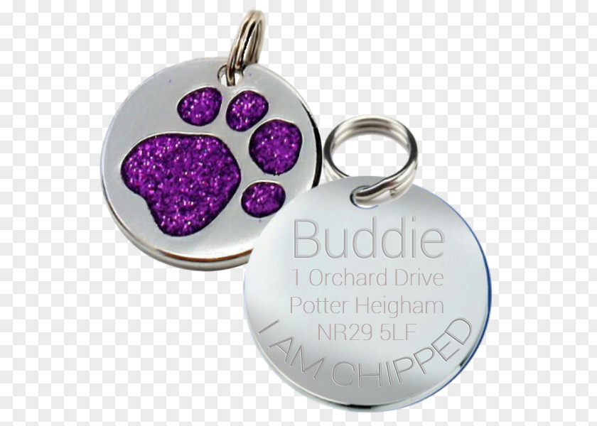 Purple Glitter Cat Dingo Pet Tag French Bulldog PNG