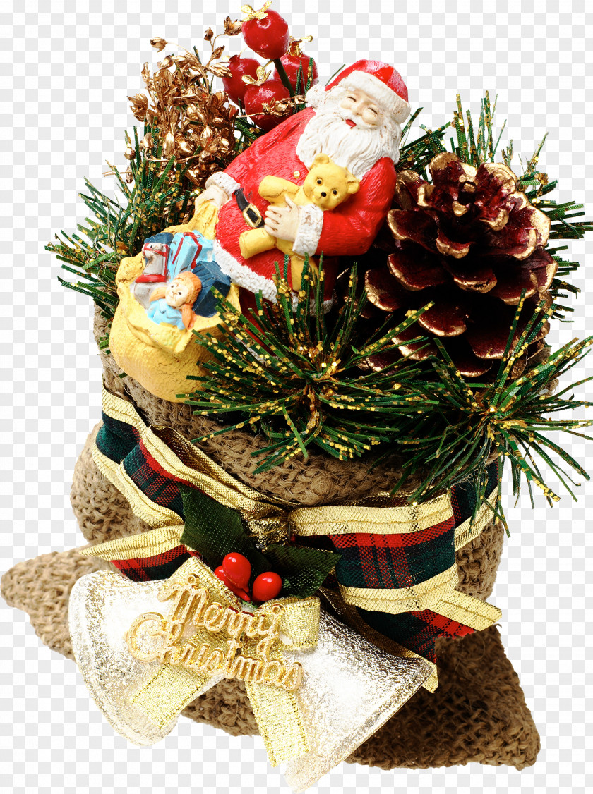 Sack Christmas Ornament Ded Moroz Day New Year JPEG PNG