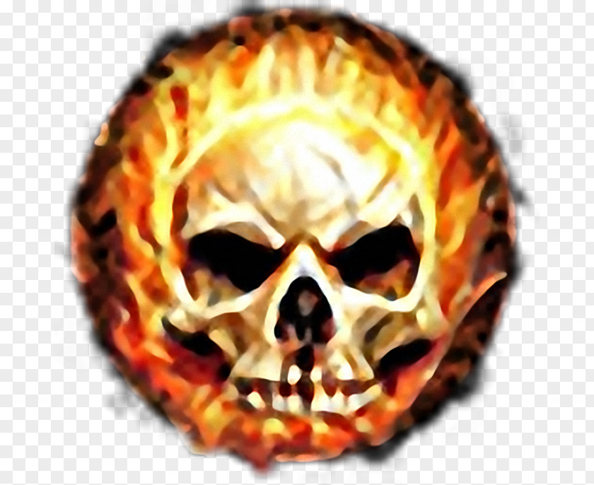 Skull Human Symbolism Fire Pit Art PNG