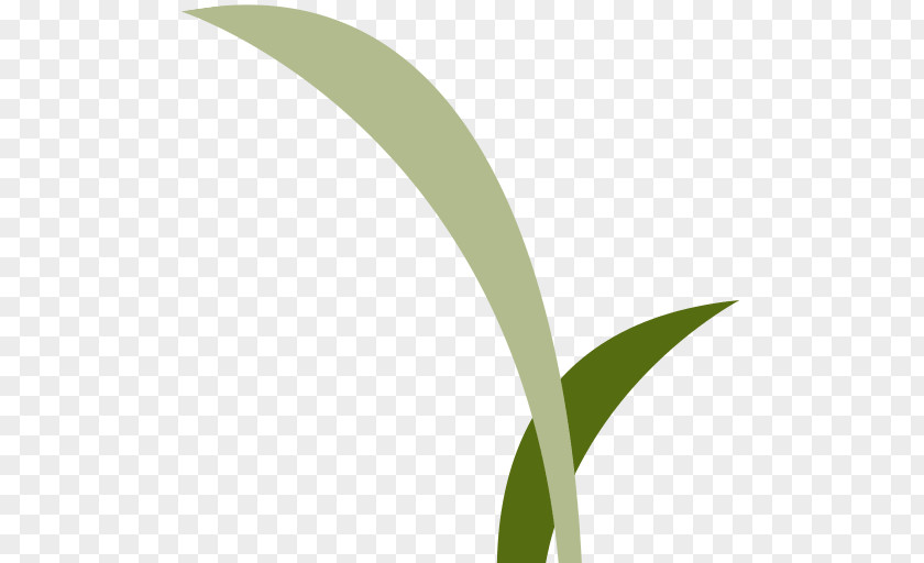 Campus Wind Leaf Logo Grasses Font PNG