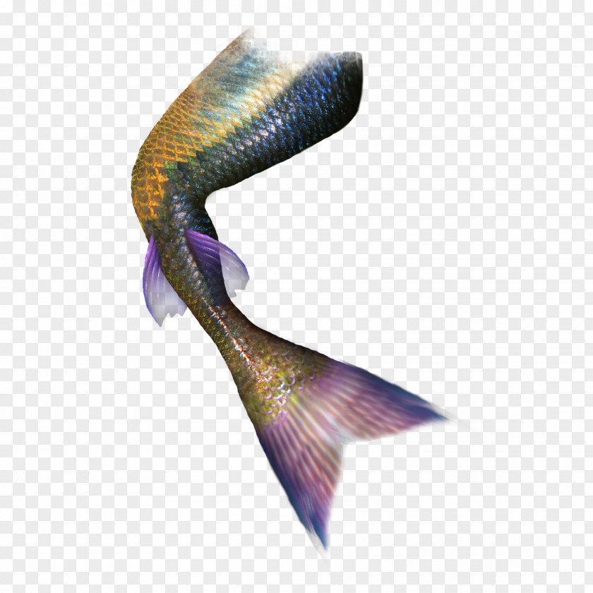 Creative Decorative Mermaid Tail Green Fish PNG