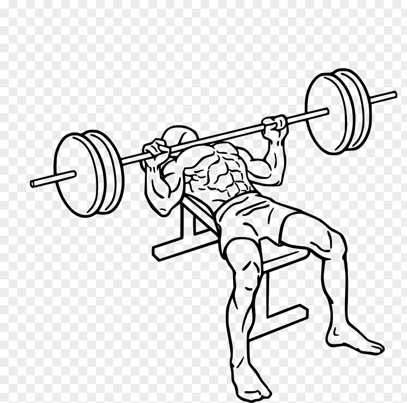 Fly Bench Press Barbell Exercise PNG