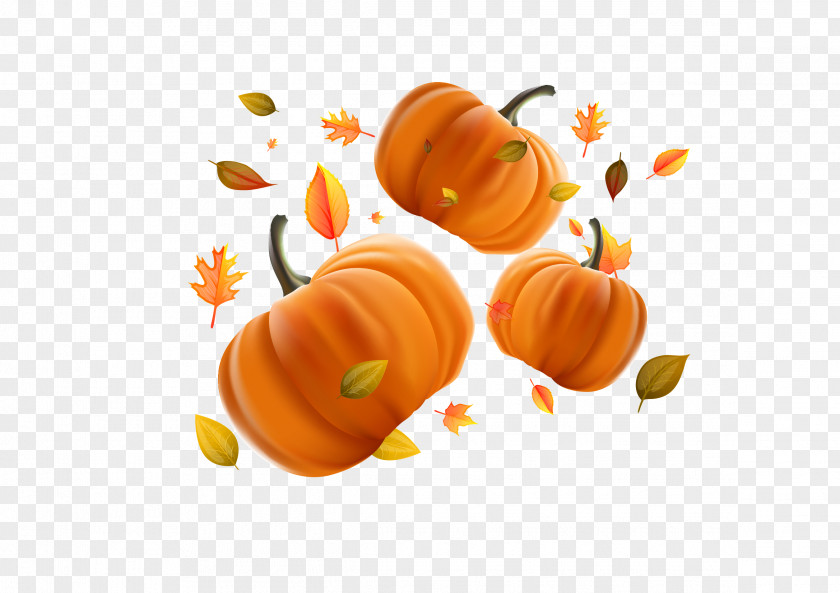 Free Pumpkin Download Calabaza Halloween Jack-o'-lantern PNG
