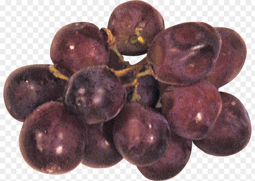 Grape Seed Extract Prune Superfood PNG