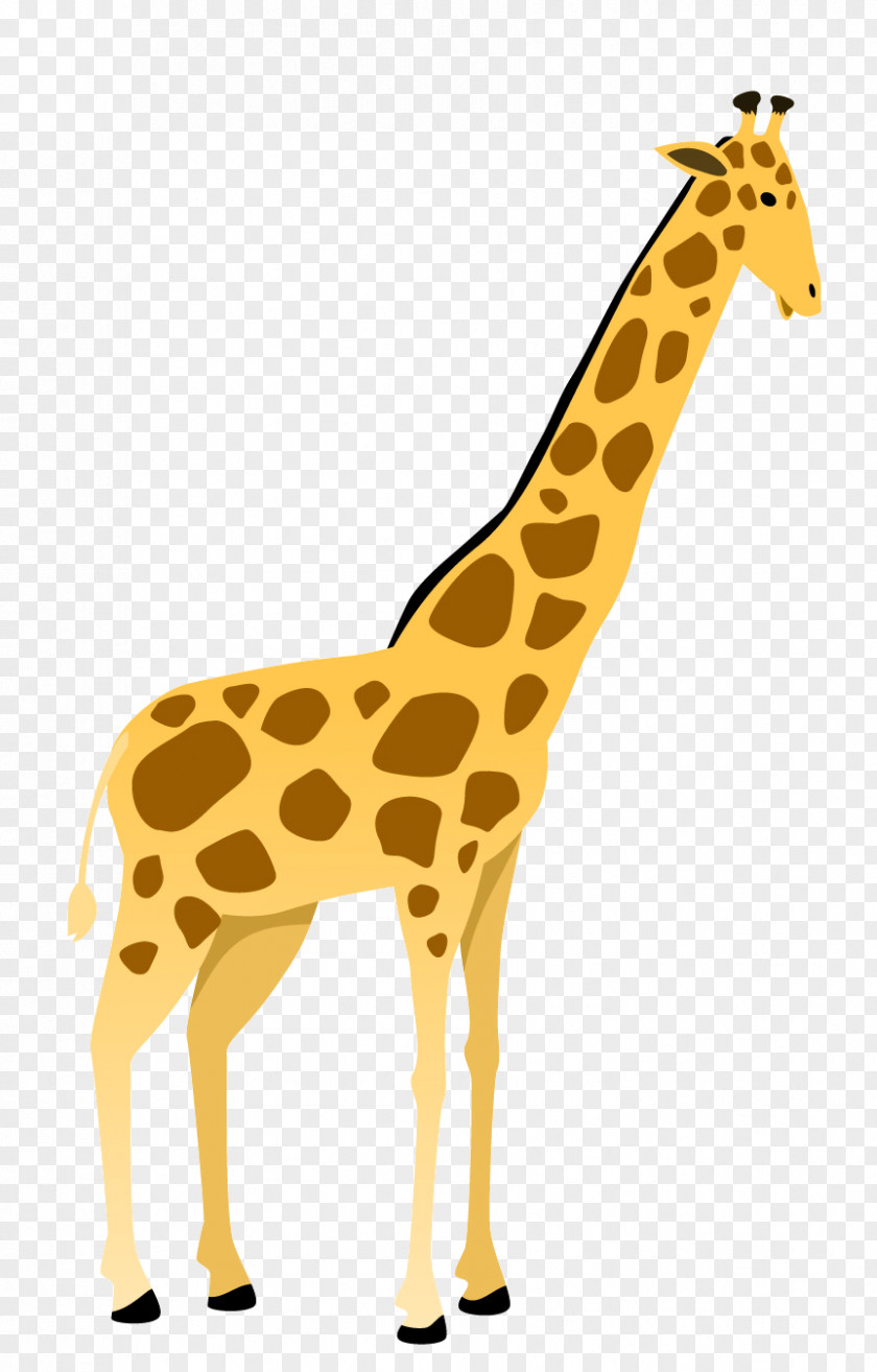 Neck Adaptation Lion Cartoon PNG