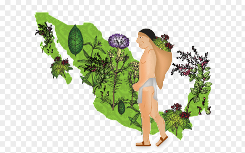 Science Phytotherapy Medicine Knowledge Chemistry PNG