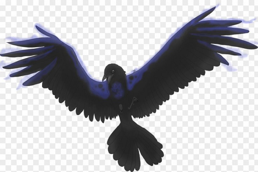 Spread Bird American Crow Wing PNG