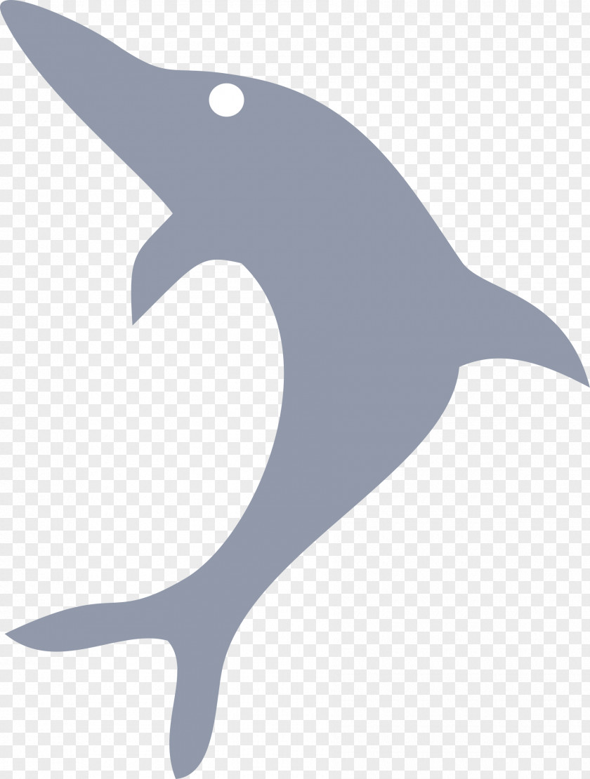 Dolphin Common Bottlenose 3D Computer Graphics Clip Art PNG