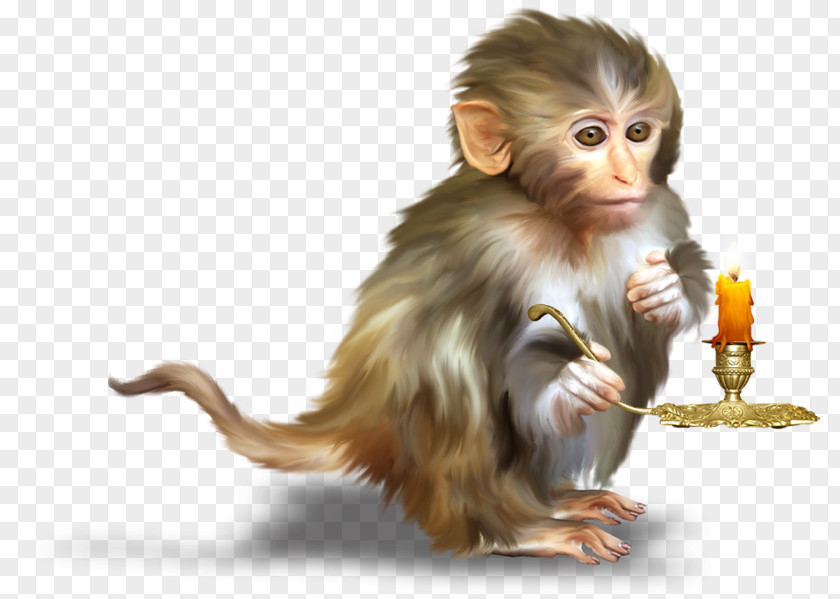 Hand-painted Monkey Candle Orangutan Clip Art PNG