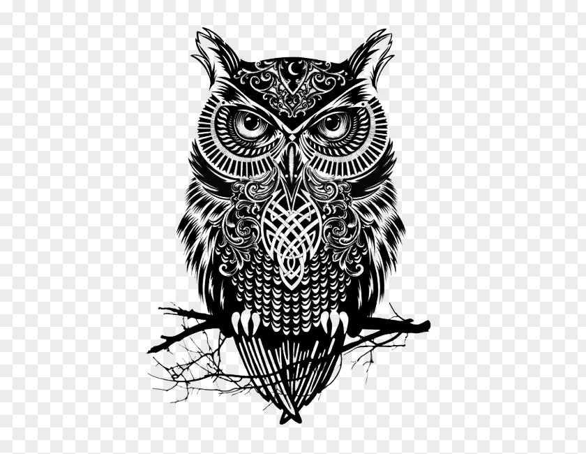Owl Black Tattoo Drawing Flash PNG