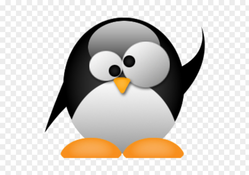 Penguin Desktop Wallpaper Computer Beak Clip Art PNG
