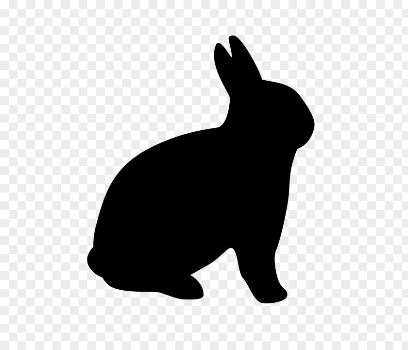 Rabbit Hare Domestic Chinchilla PNG