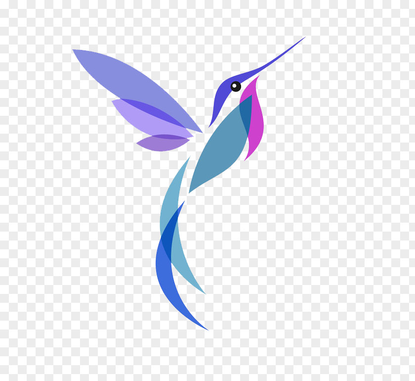 Sparrow Hummingbird Illustration PNG