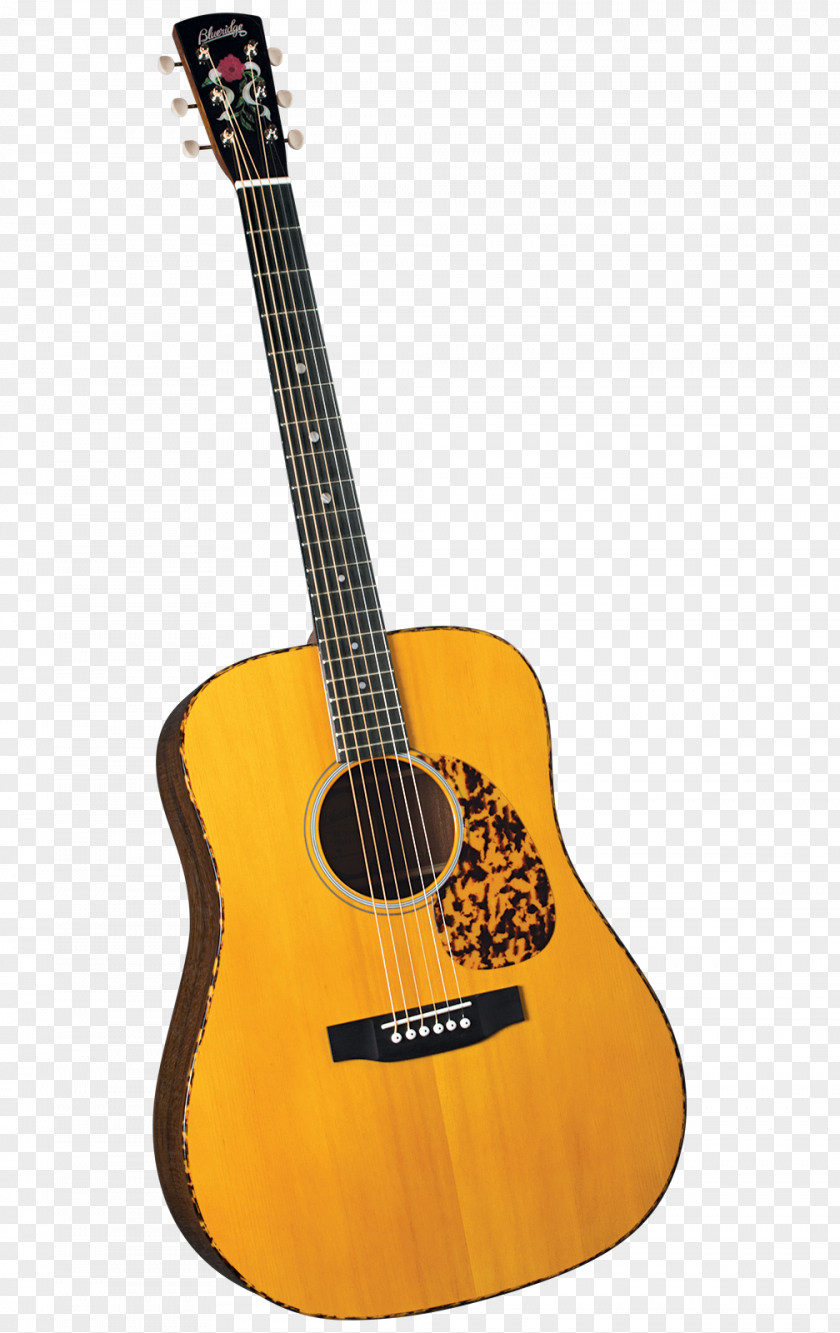 Acoustic Guitar Bass Acoustic-electric Tiple Washburn Guitars PNG